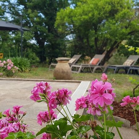 Aroma Green Villa Cagnano Екстер'єр фото