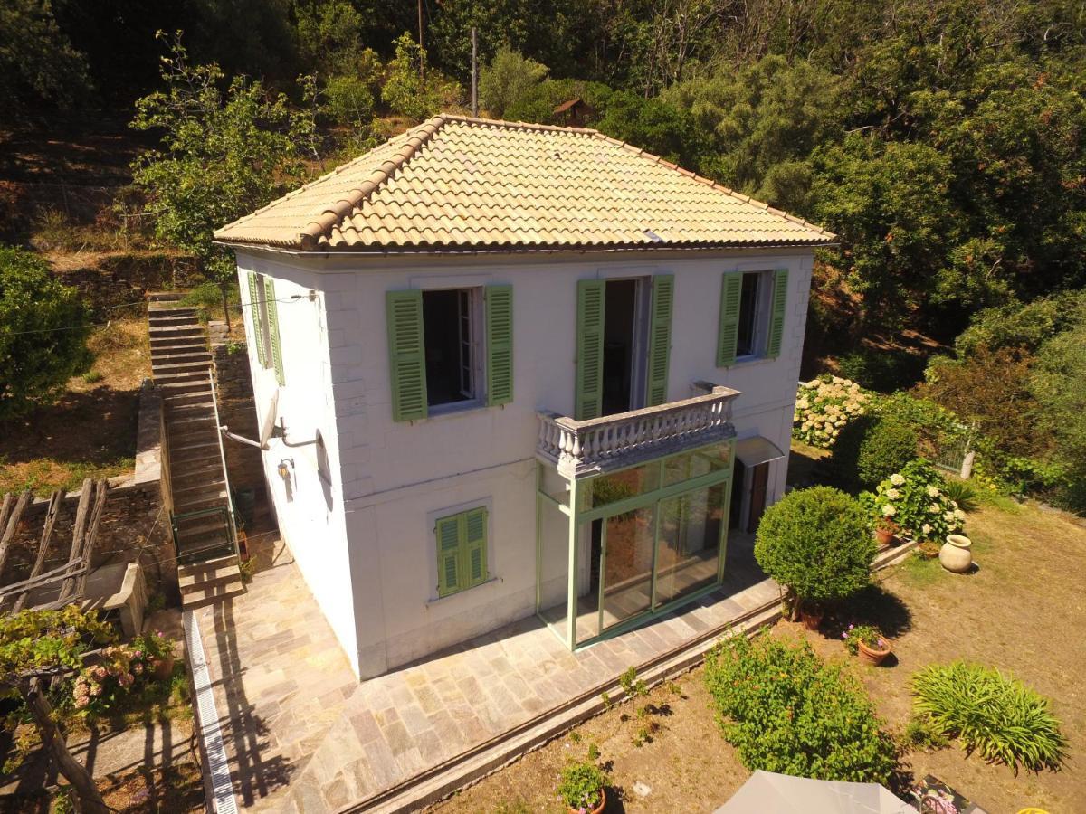 Aroma Green Villa Cagnano Екстер'єр фото