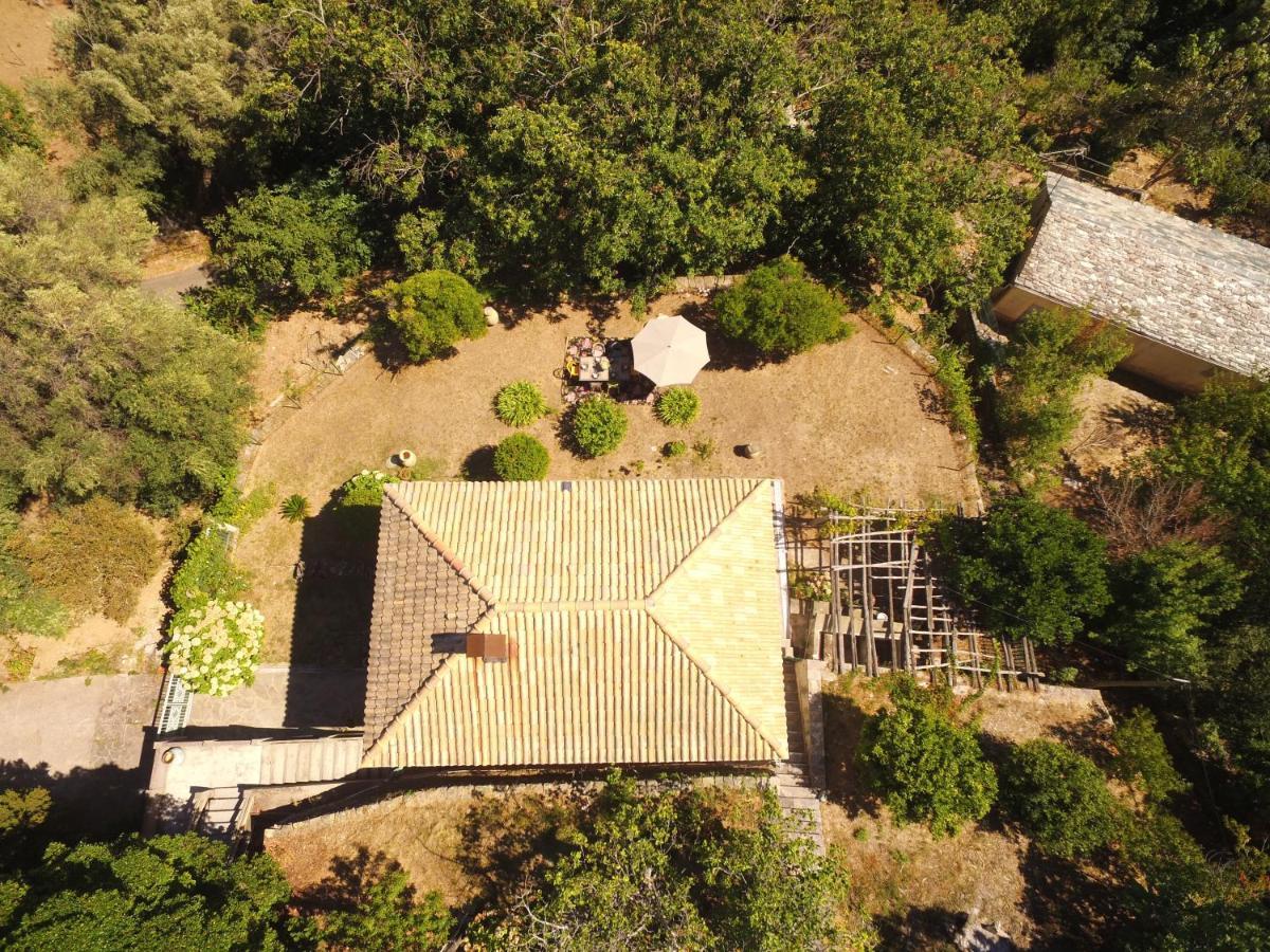 Aroma Green Villa Cagnano Екстер'єр фото