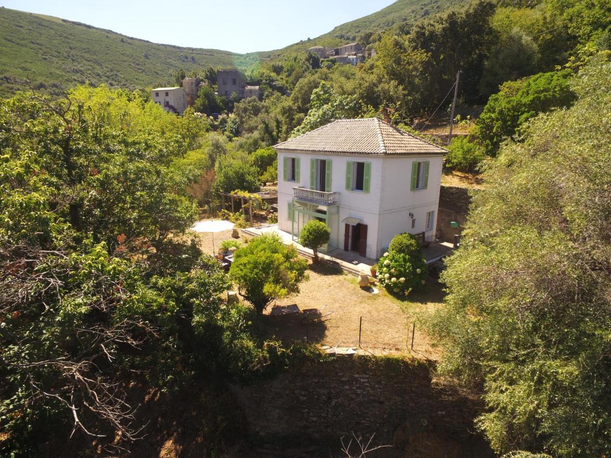 Aroma Green Villa Cagnano Екстер'єр фото