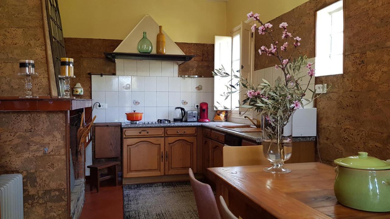 Aroma Green Villa Cagnano Екстер'єр фото