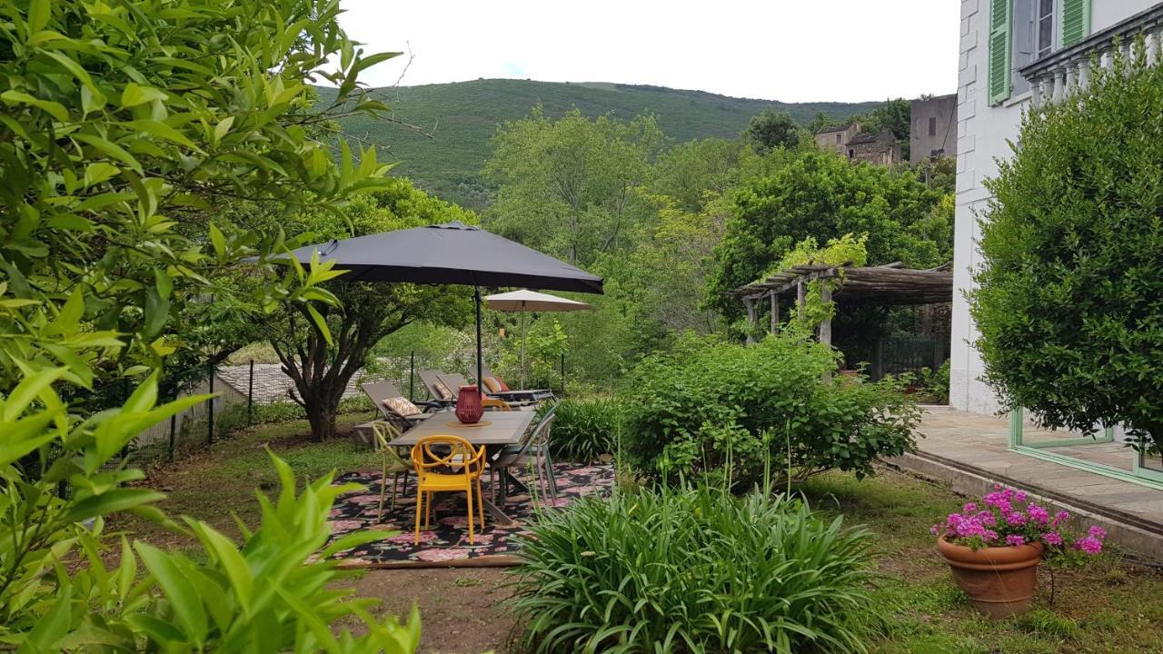 Aroma Green Villa Cagnano Екстер'єр фото